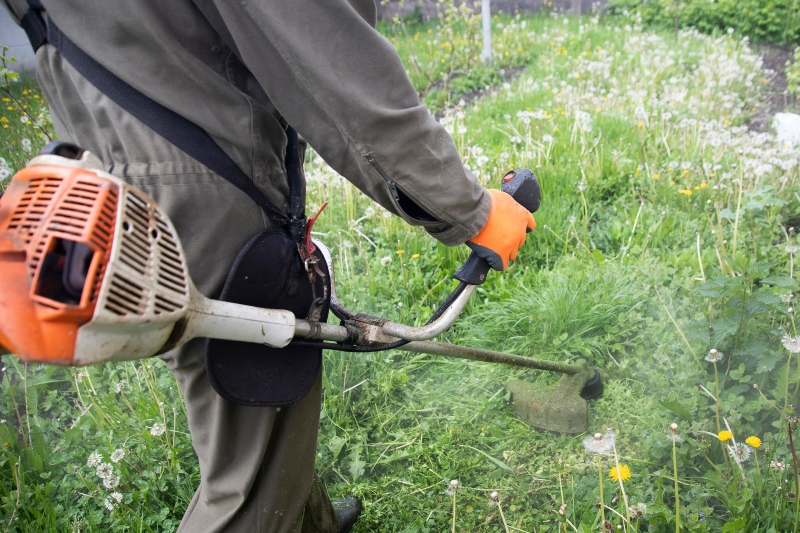 Gallery mowing the grass with a lawn mower. garden work concept background.